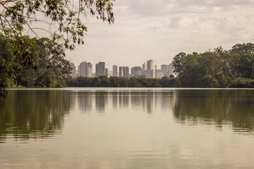 park  lake  nature