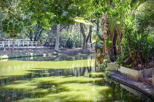 park  lake  landscape