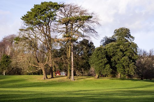 park  evening  landscape