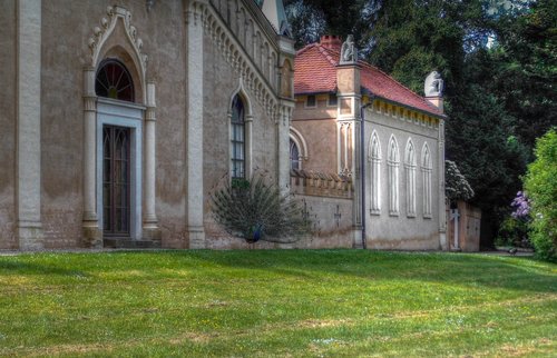 park  wörlitz  castle