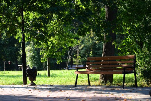 park  bench  nature