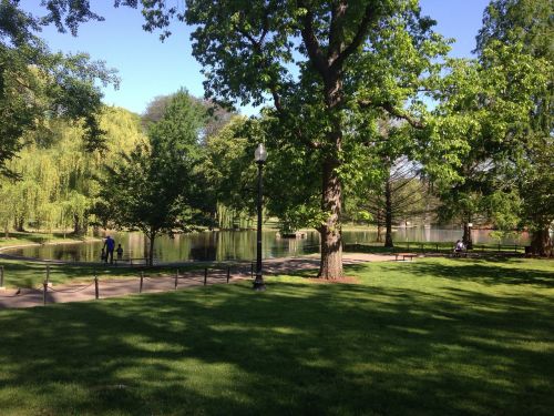 park boston lake