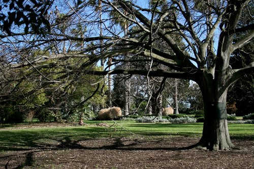 park  garden  nature