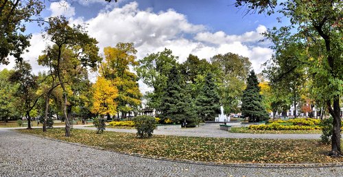 park  autumn  nature