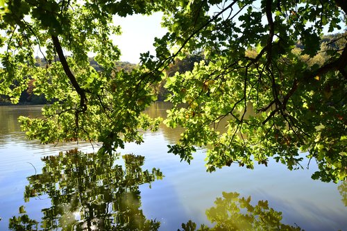 park  greiz  thuringia germany