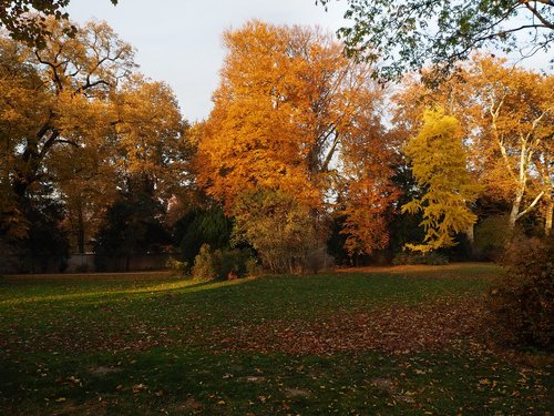 park  autumn  potsdam