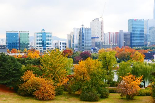 park  autumn leaves