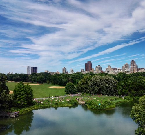 park  nature  landscape