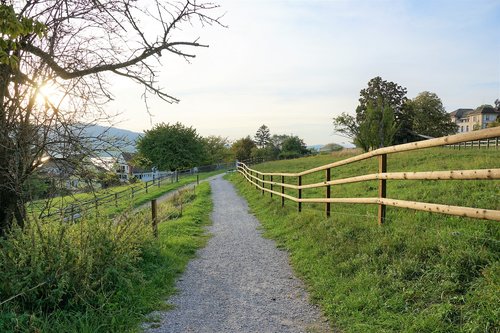 park  garden  zollikon