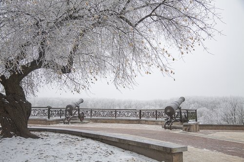 park  winter  cannon