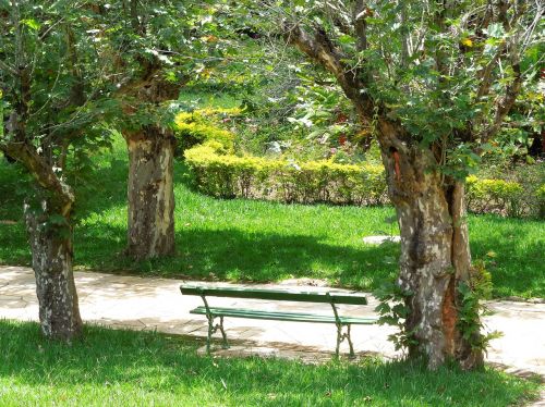 park trees park bench