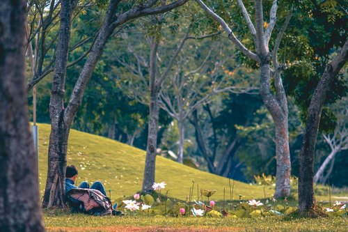 park  musing  thoughtfulness