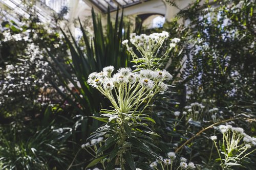 park  nature  landscape