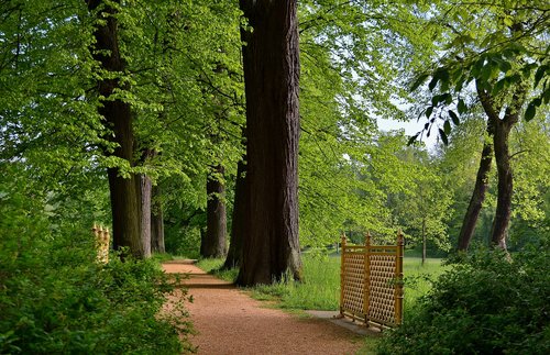 park  away  landscape