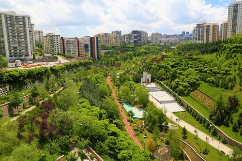 park  landscape  green