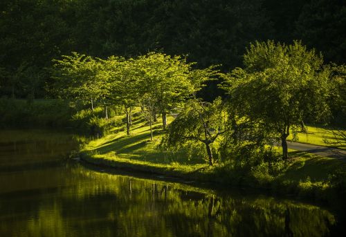 park nature virginia