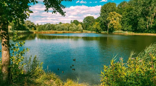 park  view  landscape