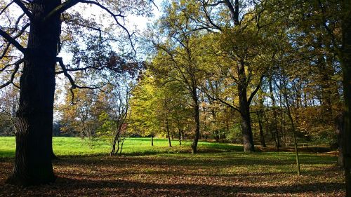 park poland wrocław