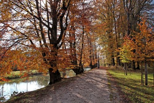 park leaves nature