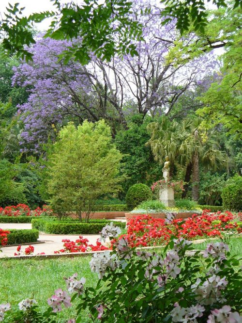 park landscape plants nature