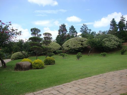 park nature landscape