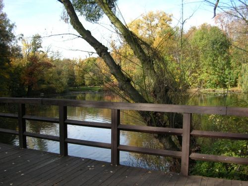 park autumn bridge