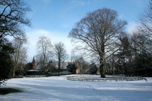 park winter trees