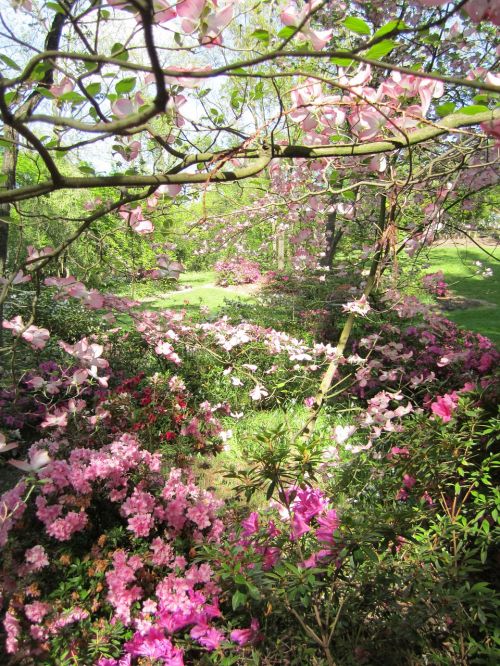 park landscape garden