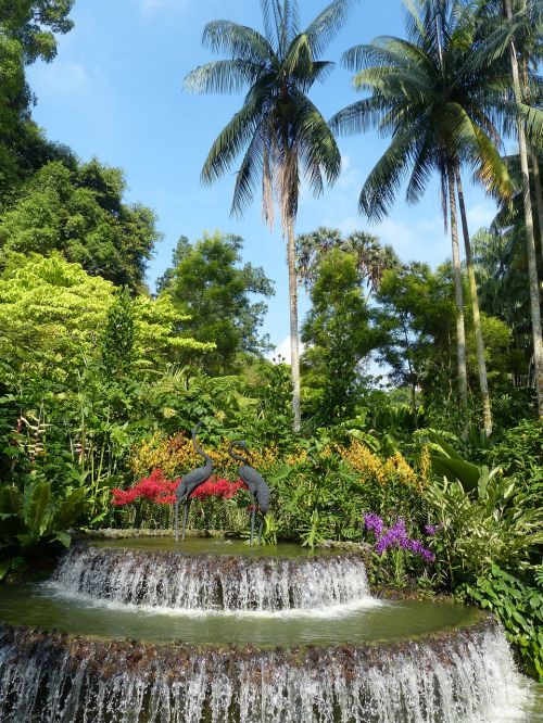 park tropics tropical