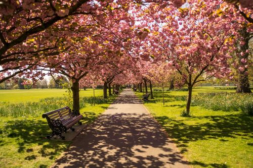 park london england