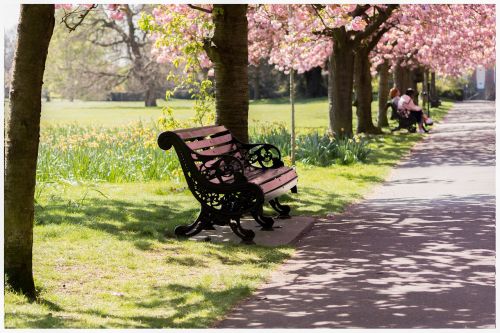 park bench nature