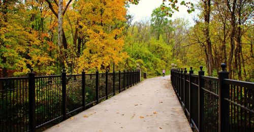 park fall leaves