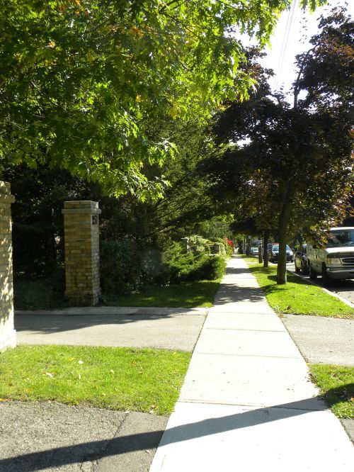 park foliage trail