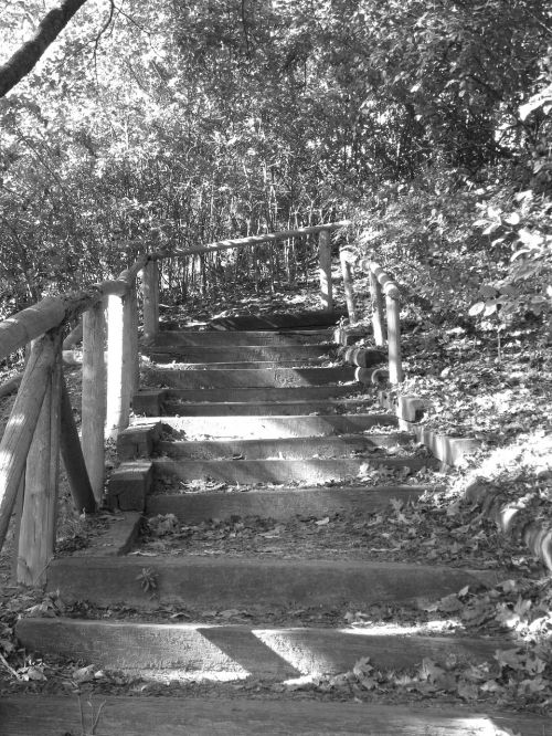 park traik steps