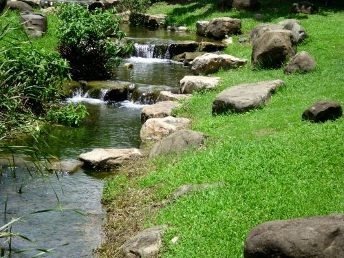 park running water grassland