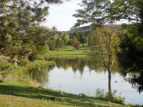 park pond water