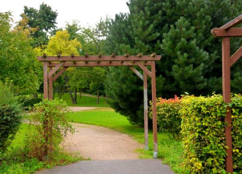 park landscape trees