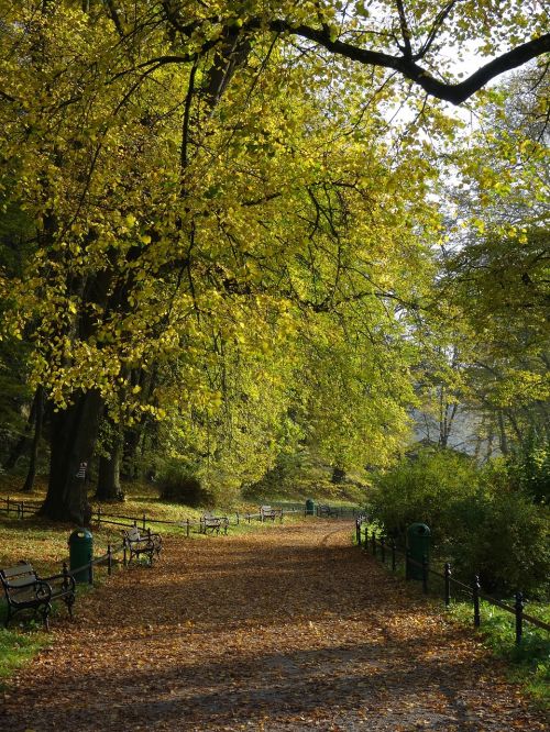 park foliage october