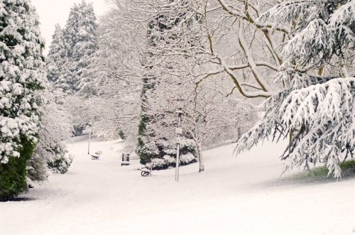 Park And Winter Seasons