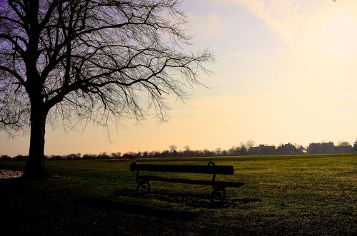 Park - Background