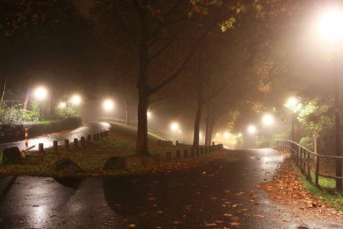 Park At Night