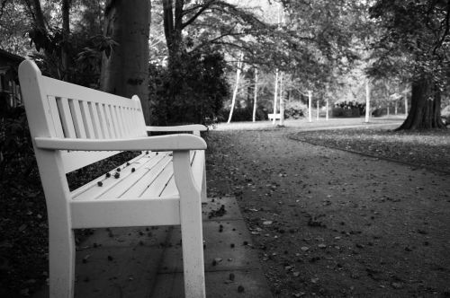 park bench black and white seat
