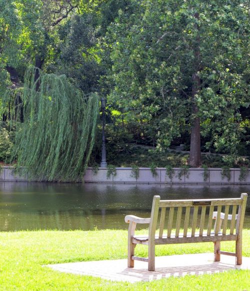 park bench bench wooden