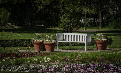 park bench  garden  bank