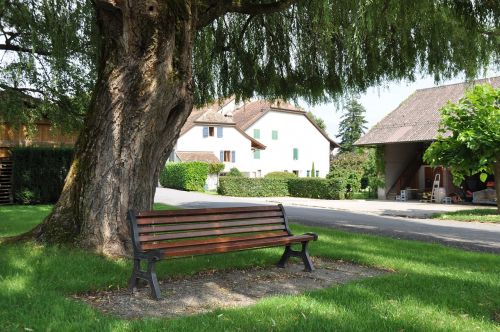 park bench bench seat