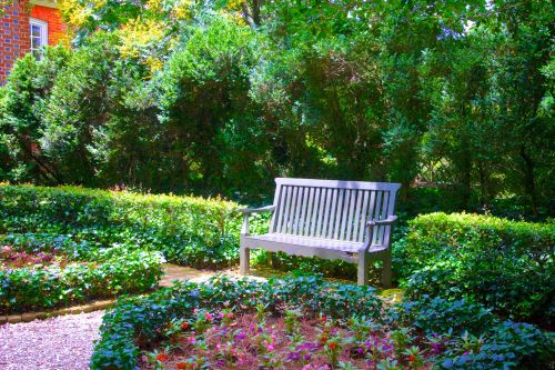 Park Bench In Flower Garden