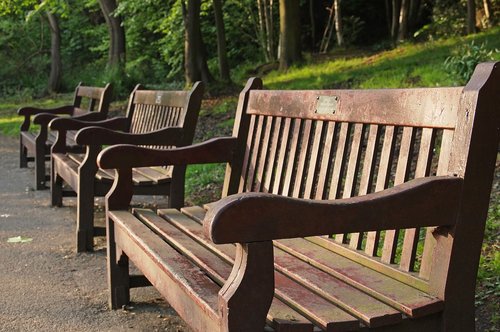 park benches  sun  wooden