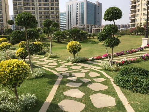 park in a city road bifurcation