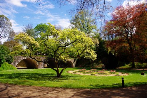 Park In Spring