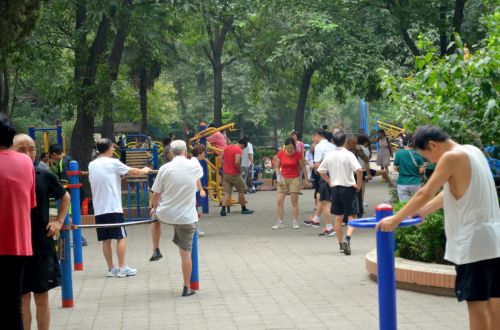 Park Recreation
